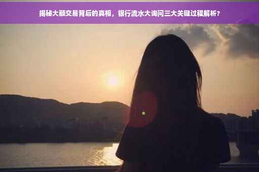 揭秘大额交易背后的真相，银行流水大询问三大关键过程解析?