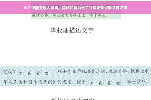 小厂也能开收入证明，揭秘如何为员工打造正规证明文件之道