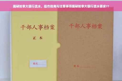 揭秘加拿大银行流水，操作指南与注意事项揭秘加拿大银行流水要求??