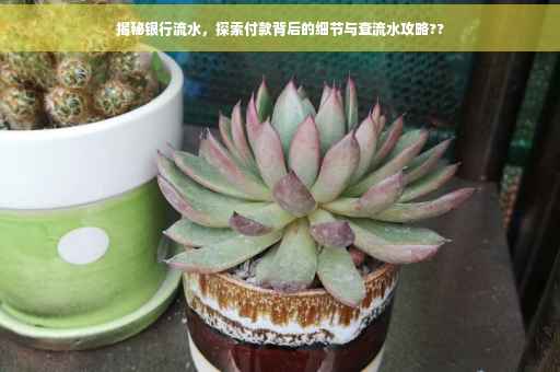 揭秘银行流水，探索付款背后的细节与查流水攻略??