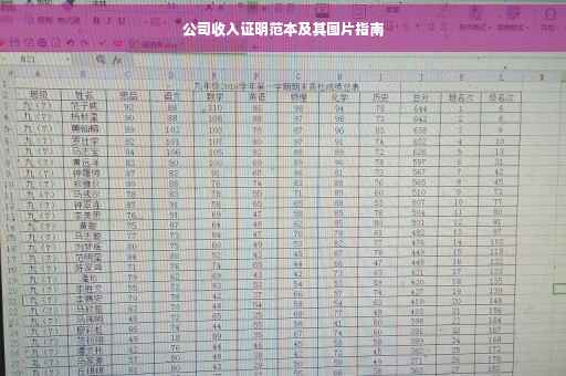 公司收入证明范本及其图片指南