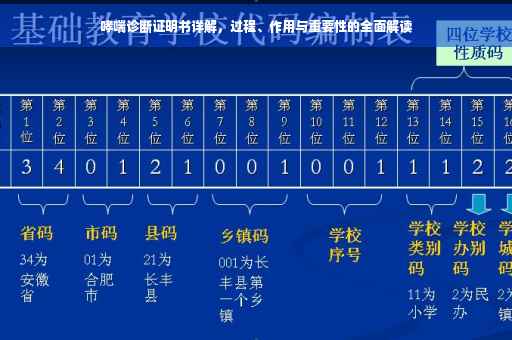 哮喘诊断证明书详解，过程、作用与重要性的全面解读