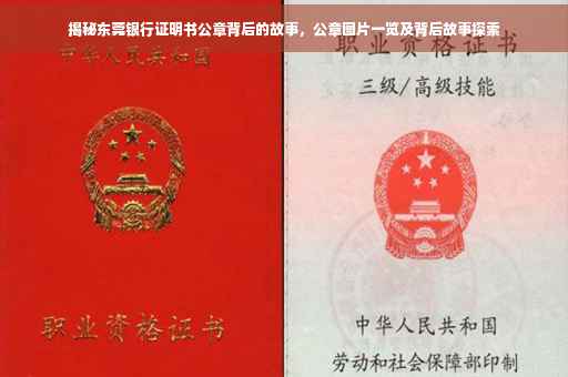 揭秘东莞银行证明书公章背后的故事，公章图片一览及背后故事探索
