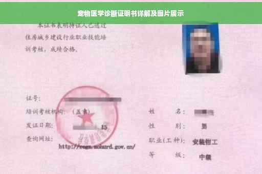 宠物医学诊断证明书详解及图片展示