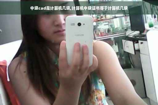 中级cad是计算机几级,计算机中级证书等于计算机几级