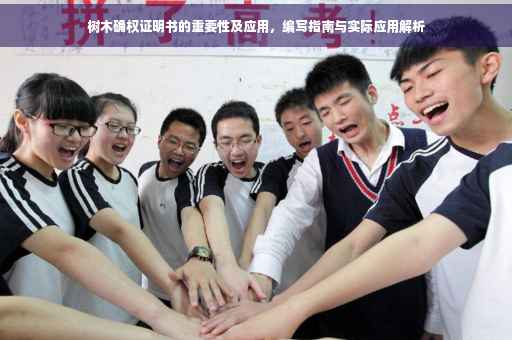 树木确权证明书的重要性及应用，编写指南与实际应用解析