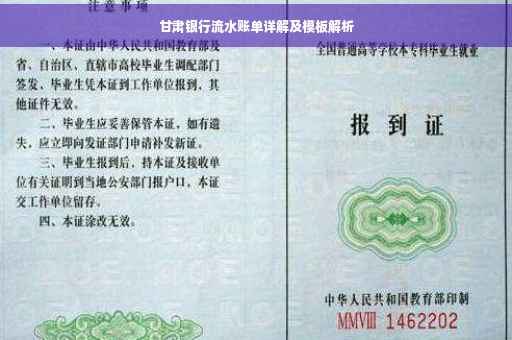 甘肃银行流水账单详解及模板解析
