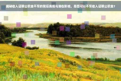 揭秘收入证明公积金不写的背后真相与潜在影响，是否可以不写收入证明公积金？