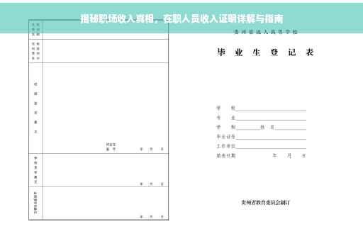 揭秘职场收入真相，在职人员收入证明详解与指南