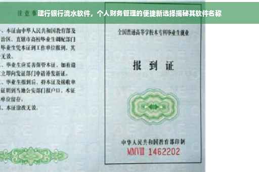 建行银行流水软件，个人财务管理的便捷新选择揭秘其软件名称
