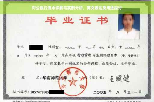 对公银行流水详解与实例分析，英文表达及用法探讨