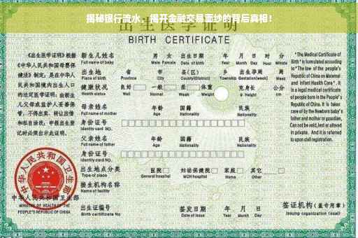 揭秘银行流水，揭开金融交易面纱的背后真相！