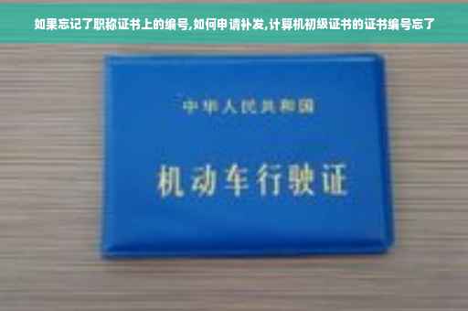 如果忘记了职称证书上的编号,如何申请补发,计算机初级证书的证书编号忘了