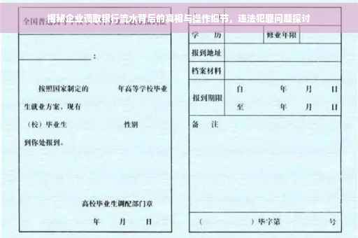 揭秘企业调取银行流水背后的真相与操作细节，违法犯罪问题探讨