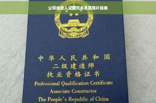 公司低收入证明范本及其图片指南