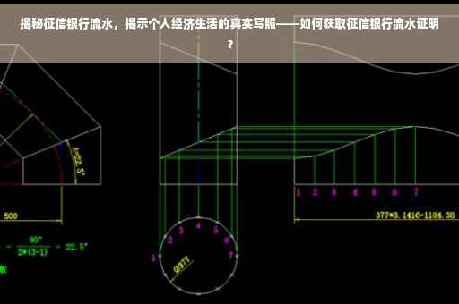 揭秘征信银行流水，揭示个人经济生活的真实写照——如何获取征信银行流水证明？