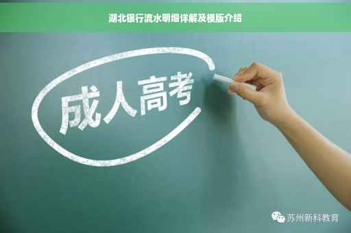 湖北银行流水明细详解及模版介绍