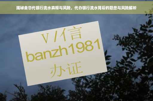 揭秘金华代银行流水真相与风险，代办银行流水背后的隐患与风险解析
