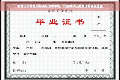 缴费证明书查询指南及注意事项，获取电子版缴费证明轻松便捷