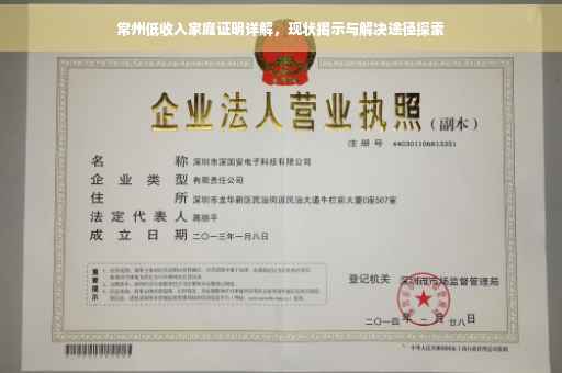 常州低收入家庭证明详解，现状揭示与解决途径探索