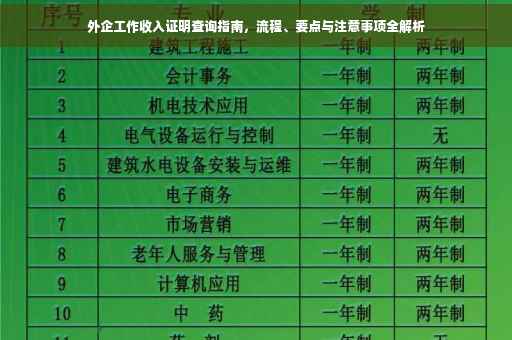 外企工作收入证明查询指南，流程、要点与注意事项全解析