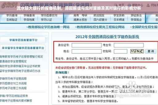 流水较大银行的报备机制，原因解读与应对策略及其对银行的影响分析