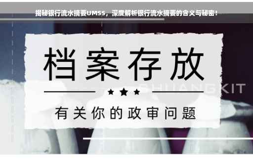 揭秘银行流水摘要UMSS，深度解析银行流水摘要的含义与秘密！