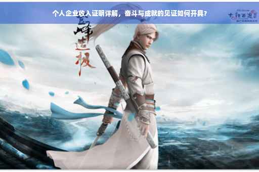 个人企业收入证明详解，奋斗与成就的见证如何开具？