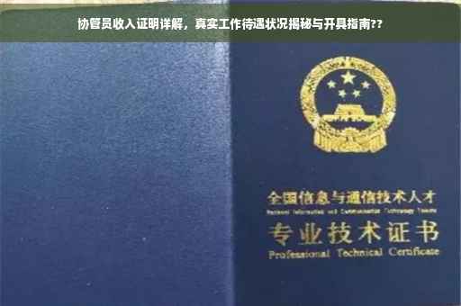 协管员收入证明详解，真实工作待遇状况揭秘与开具指南??