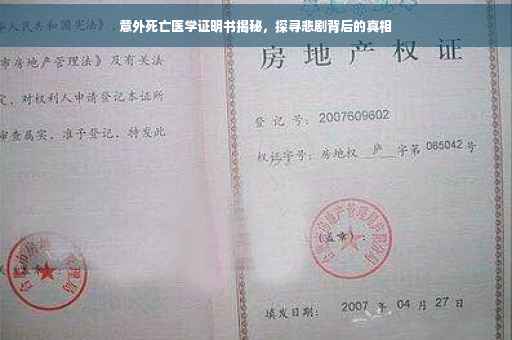 意外死亡医学证明书揭秘，探寻悲剧背后的真相