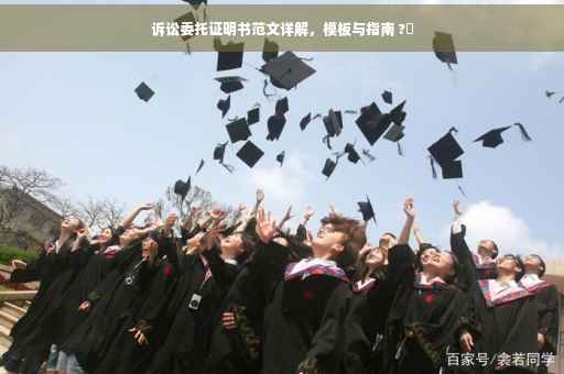 诉讼委托证明书范文详解，模板与指南 ?✨