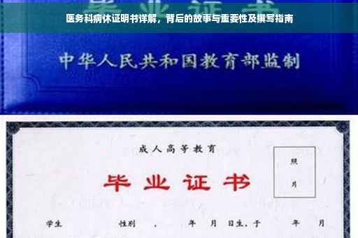 医务科病休证明书详解，背后的故事与重要性及撰写指南