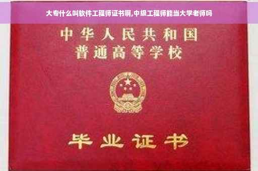 大专什么叫软件工程师证书啊,中级工程师能当大学老师吗