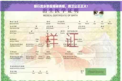 银行流水举报揭秘真相，捍卫公正正义！