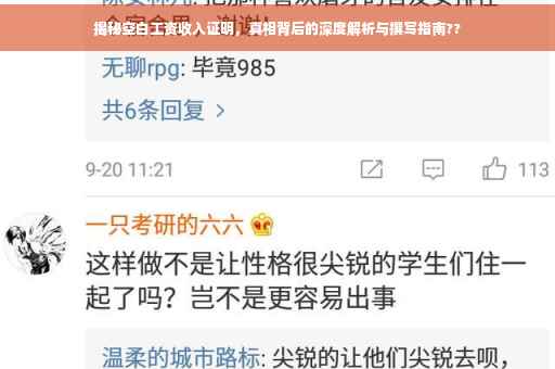 揭秘空白工资收入证明，真相背后的深度解析与撰写指南??