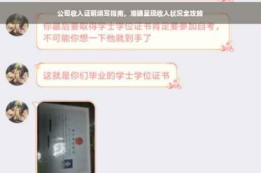 公司收入证明填写指南，准确呈现收入状况全攻略