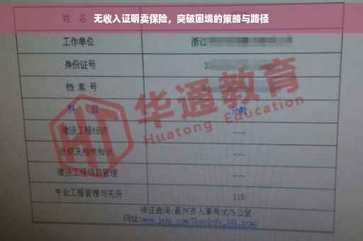 无收入证明卖保险，突破困境的策略与路径