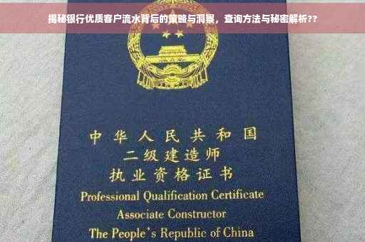 揭秘银行优质客户流水背后的策略与洞察，查询方法与秘密解析??