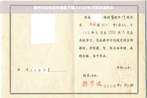 泰州马拉松证书哪里下载,12123电子驾驶证样本