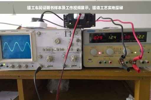 锻工车间证明书样本及工作视频展示，锻造工艺实地探秘
