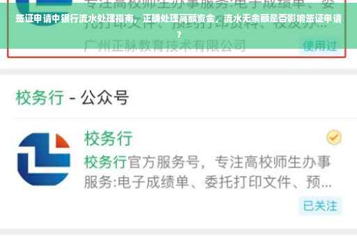 签证申请中银行流水处理指南，正确处理高额资金，流水无余额是否影响签证申请？