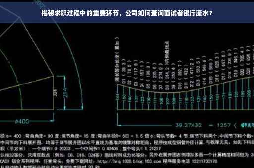 揭秘求职过程中的重要环节，公司如何查询面试者银行流水？