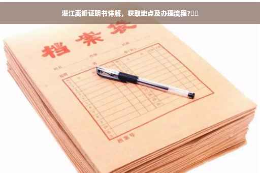 湛江离婚证明书详解，获取地点及办理流程?⚡️