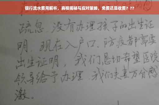 银行流水费用解析，真相揭秘与应对策略，免费还是收费？??