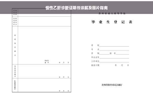 慢性乙肝诊断证明书详解及图片指南