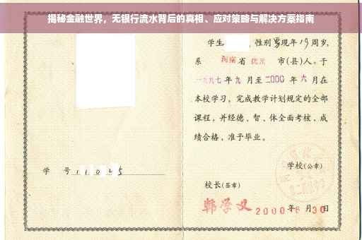 揭秘金融世界，无银行流水背后的真相、应对策略与解决方案指南