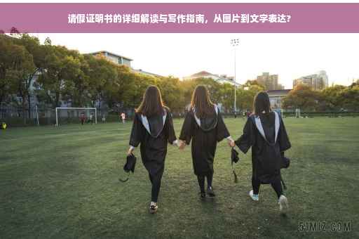 请假证明书的详细解读与写作指南，从图片到文字表达?