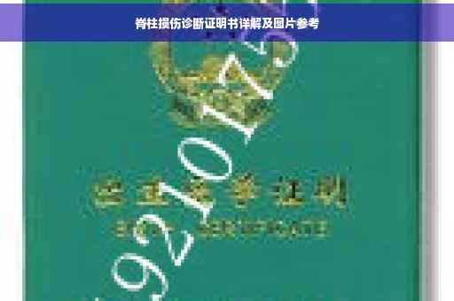 脊柱损伤诊断证明书详解及图片参考