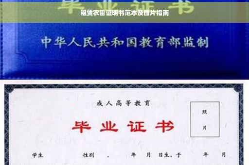租赁农田证明书范本及图片指南