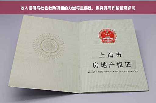 收入证明与社会救助项目的力量与重要性，探究其写作价值及影响